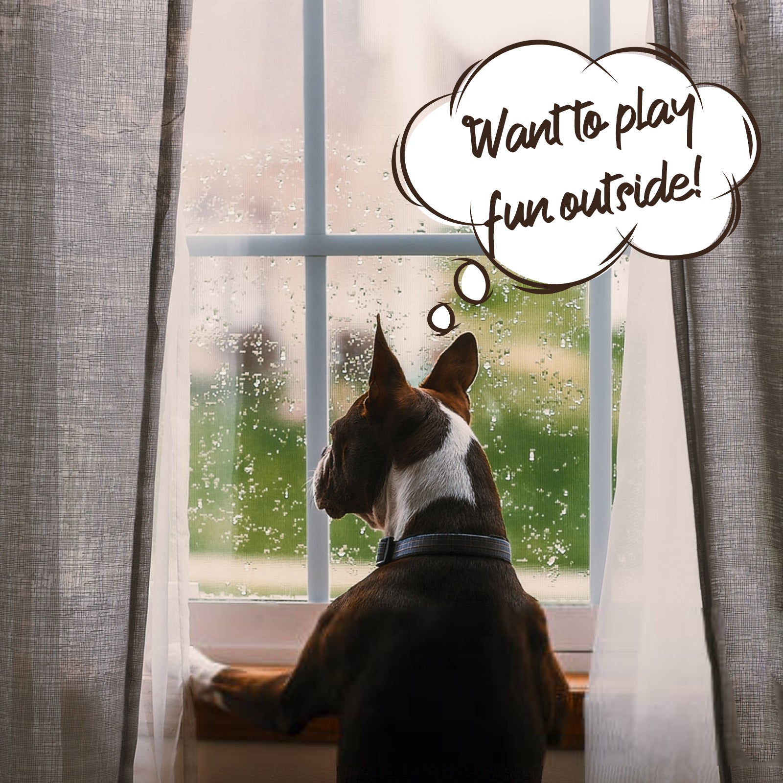 Dog Umbrella Adjustable Doggy Umbrella Chains Rainproof Snowproof for Puppy - Clear